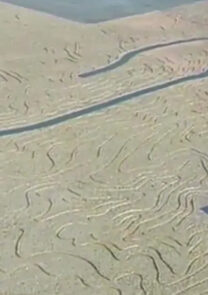 California Wash