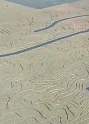 California Wash