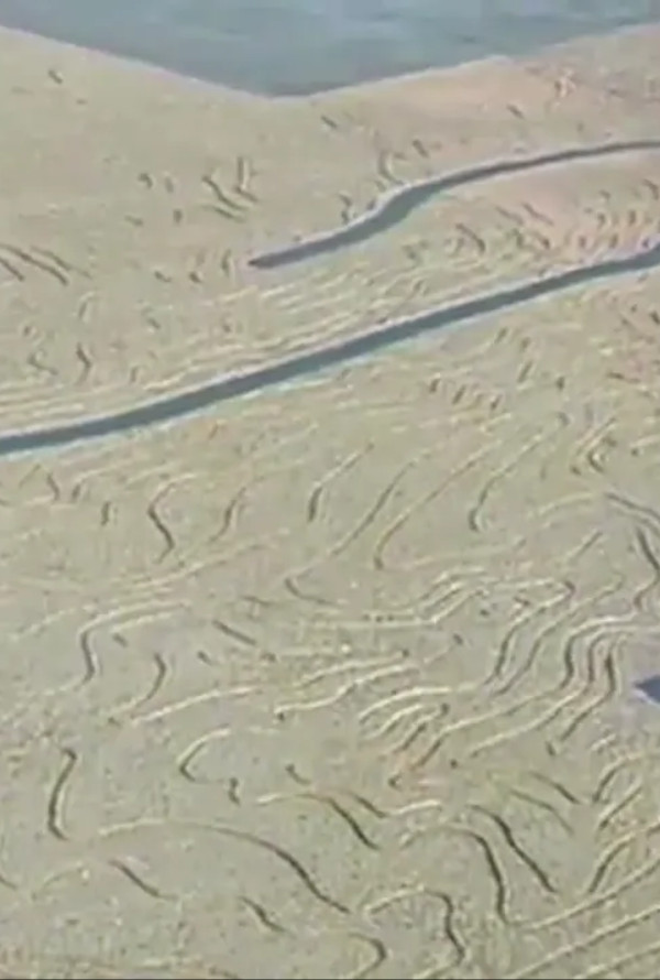 California Wash