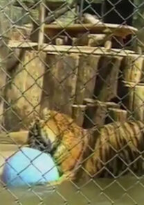 Wildlife Waystation