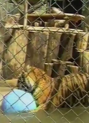 Wildlife Waystation