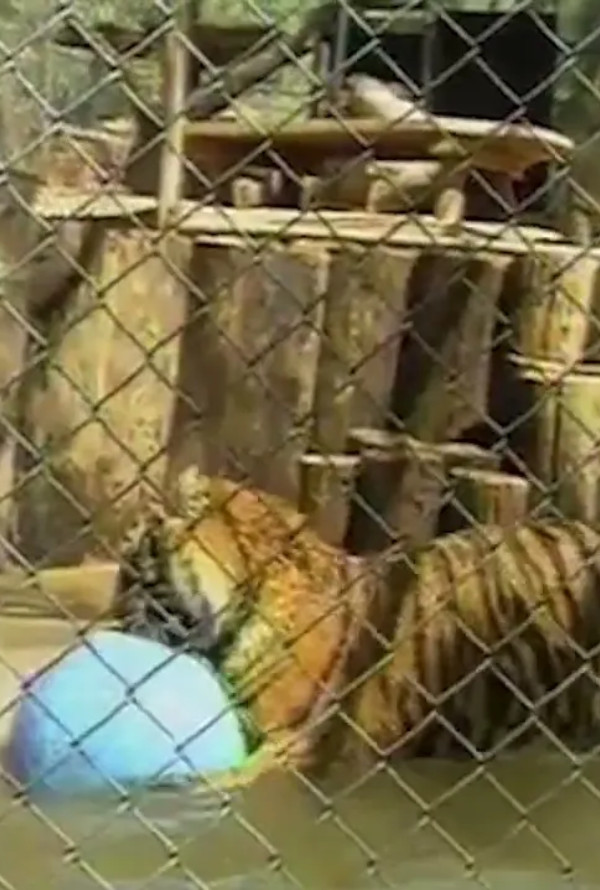 Wildlife Waystation